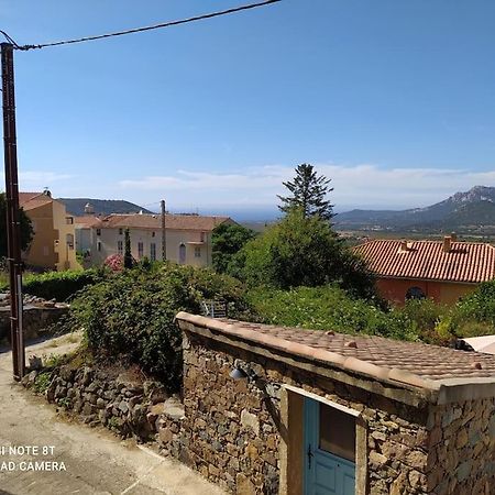 Duplex Avec Jardin, Proche Village Calenzana Exterior foto